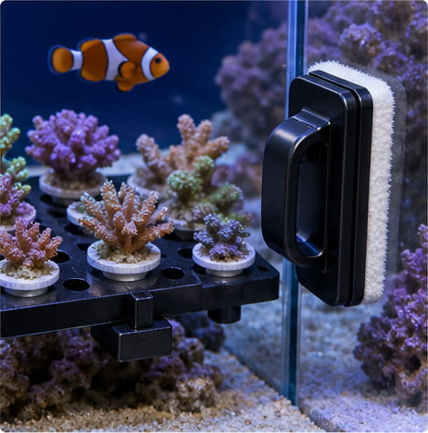 Wasserdichter Magnet für Aquarien